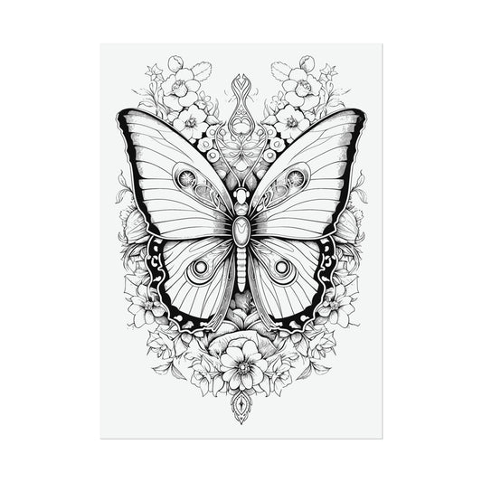 Butterfly Coloring Art Posters