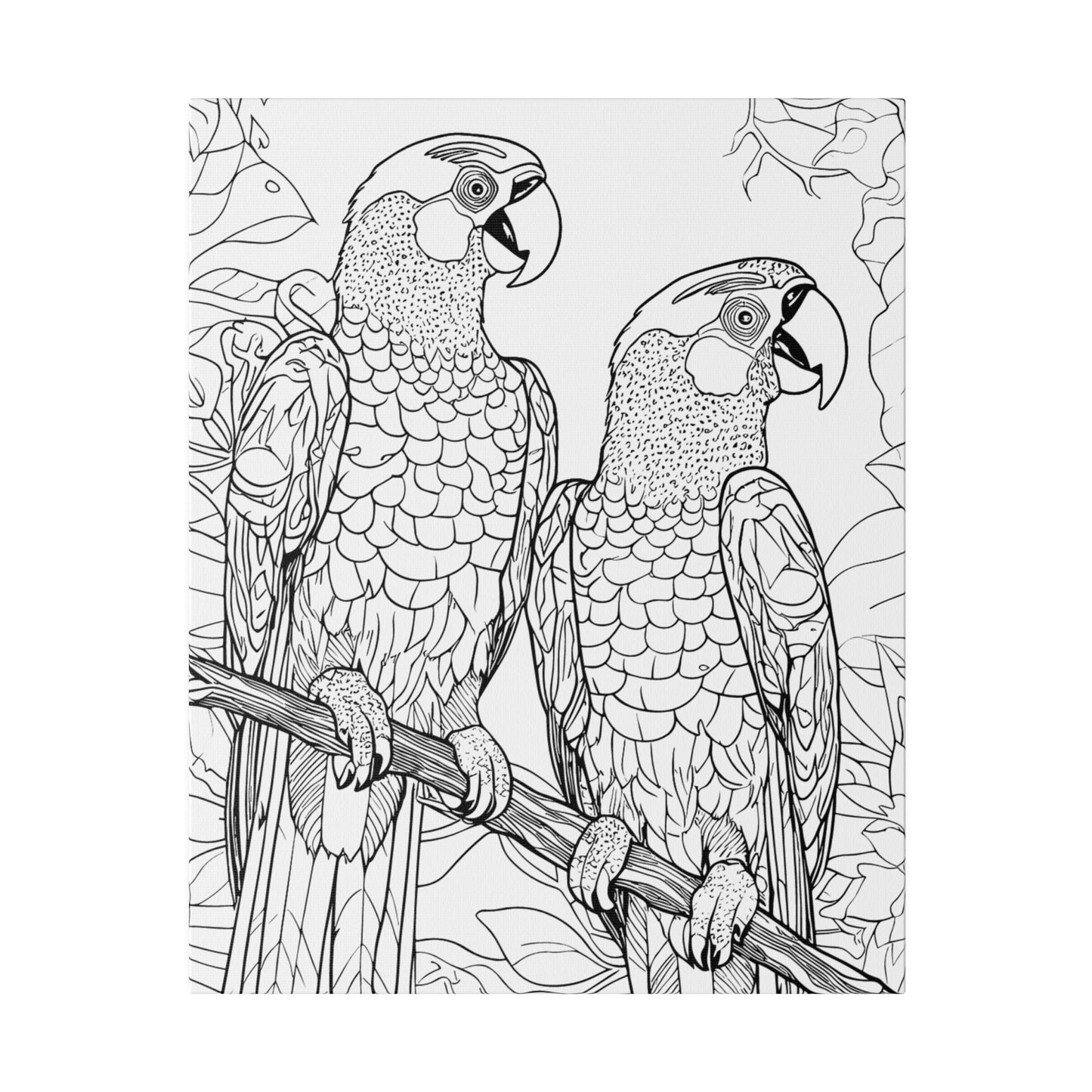 Macaw Parrots Coloring Canvas, Stretched, 0.75"