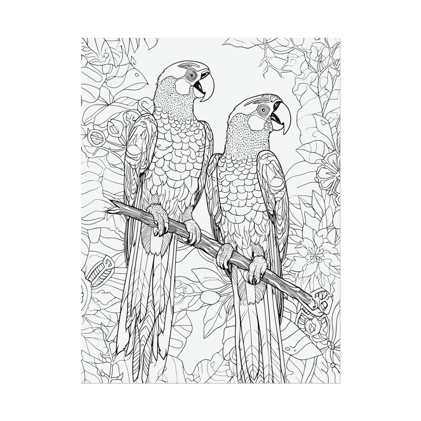 Macaw Parrots Exotic Bird Coloring Art Posters