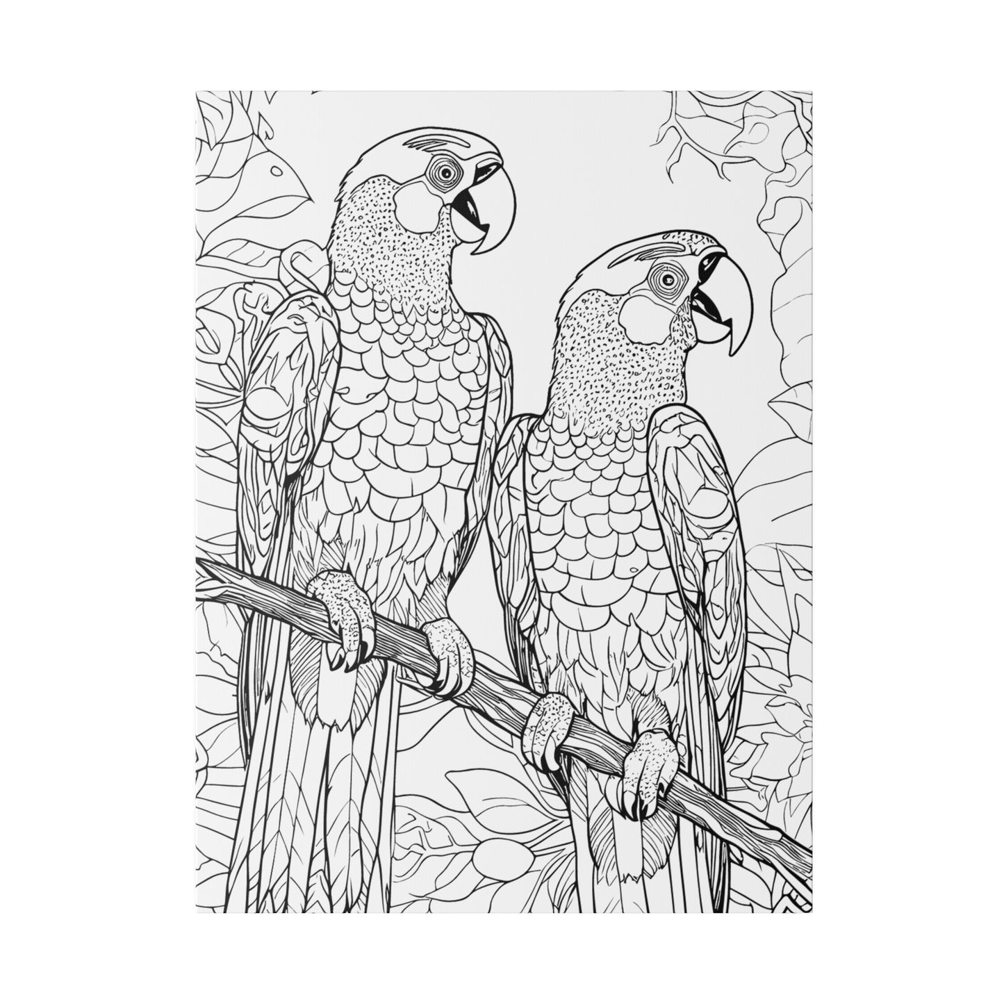 Macaw Parrots Coloring Canvas, Stretched, 0.75"