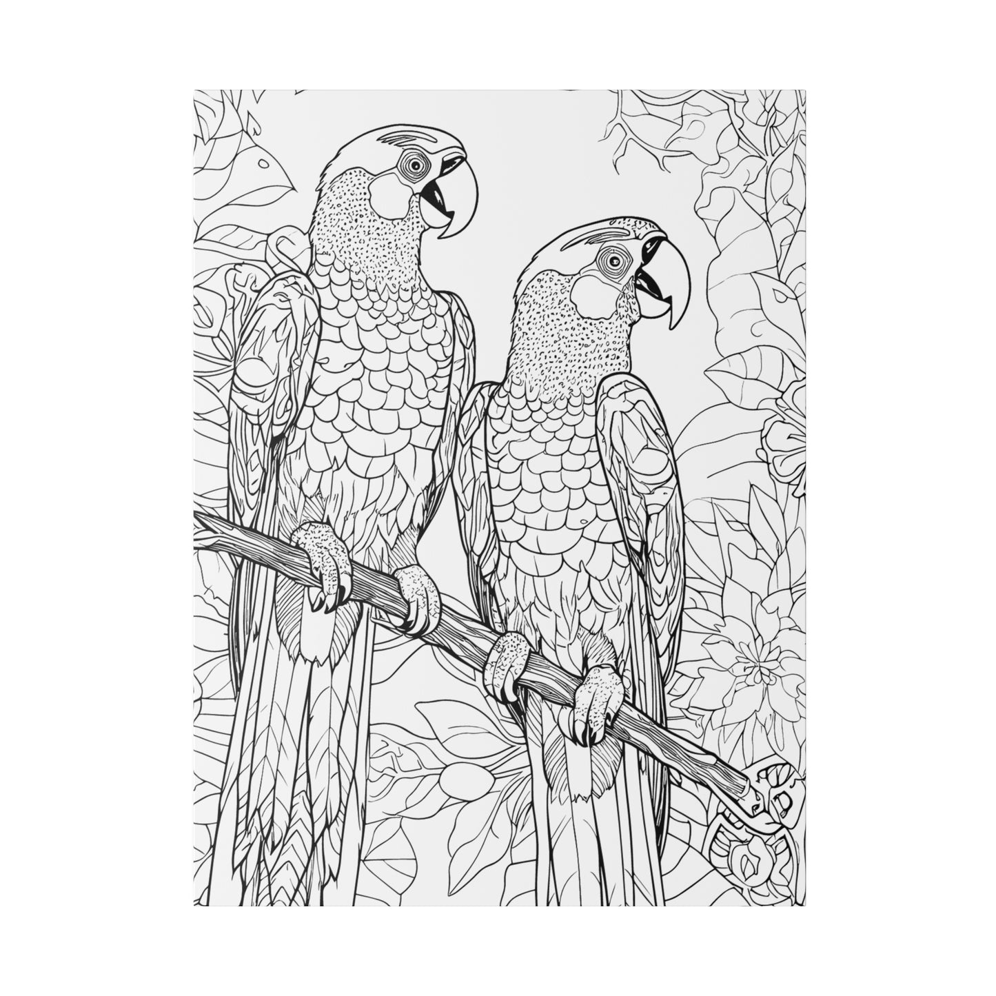 Macaw Parrots Coloring Canvas, Stretched, 0.75"